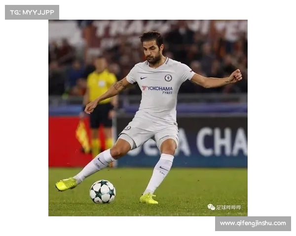 全面解析欧冠与法甲英超意甲之间的结构规则与竞争差异全景观察解析 全面解析欧冠与法甲英超意甲之间的结构规则与竞争差异全景观察解析